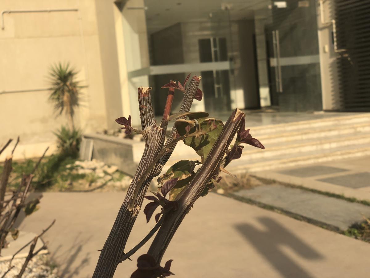 The Village Luxury Le Caire